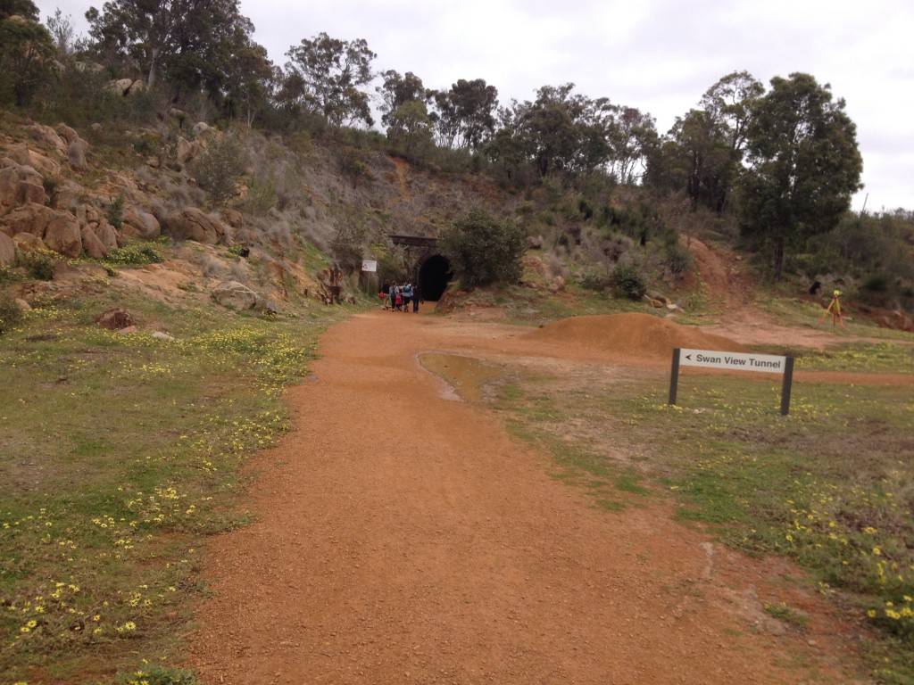 swan-view-tunnel